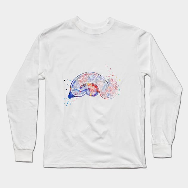 Brain Pyramidal Long Sleeve T-Shirt by RosaliArt